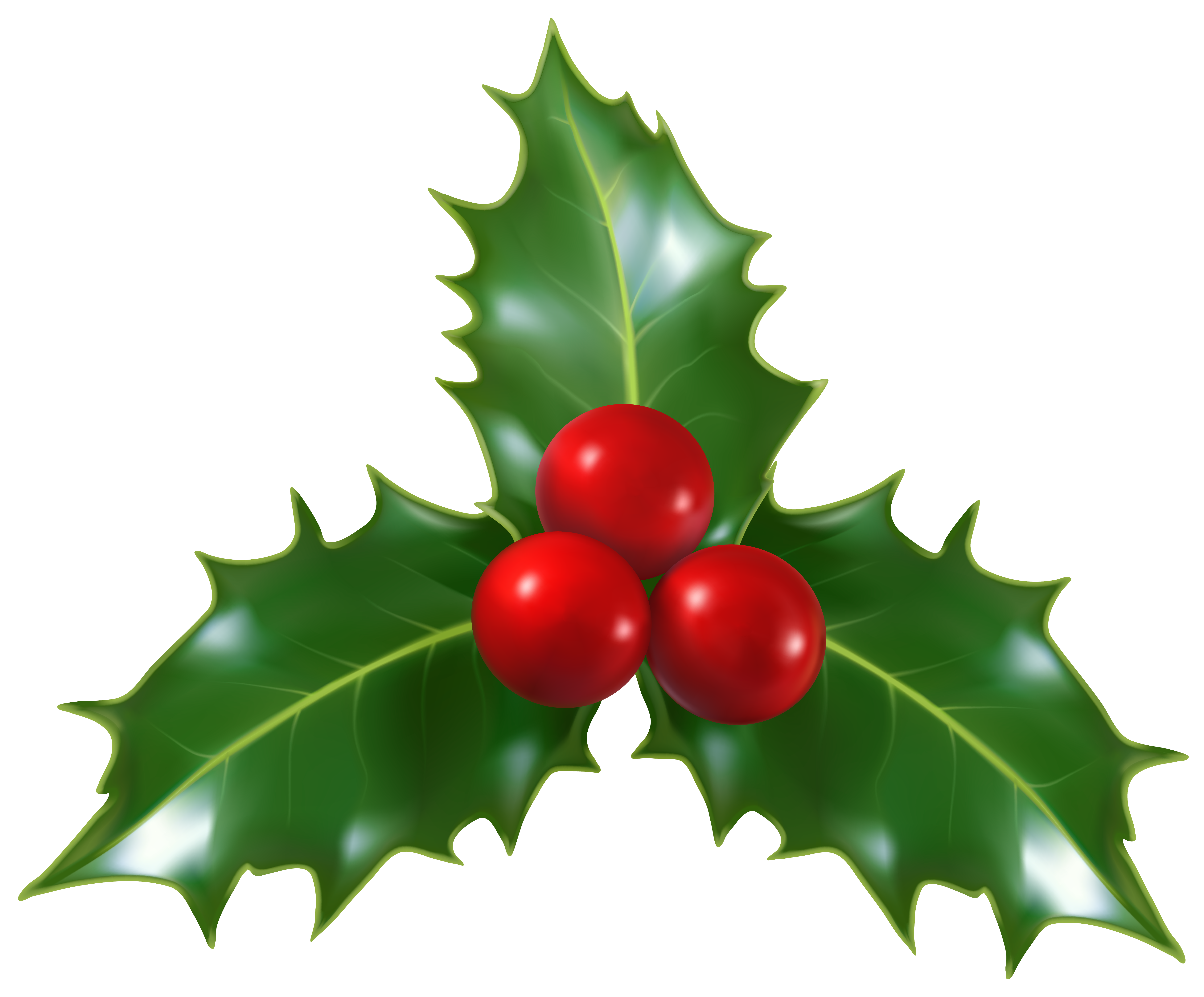 Christmas Holly Mistletoe PNG Clip-Art Image