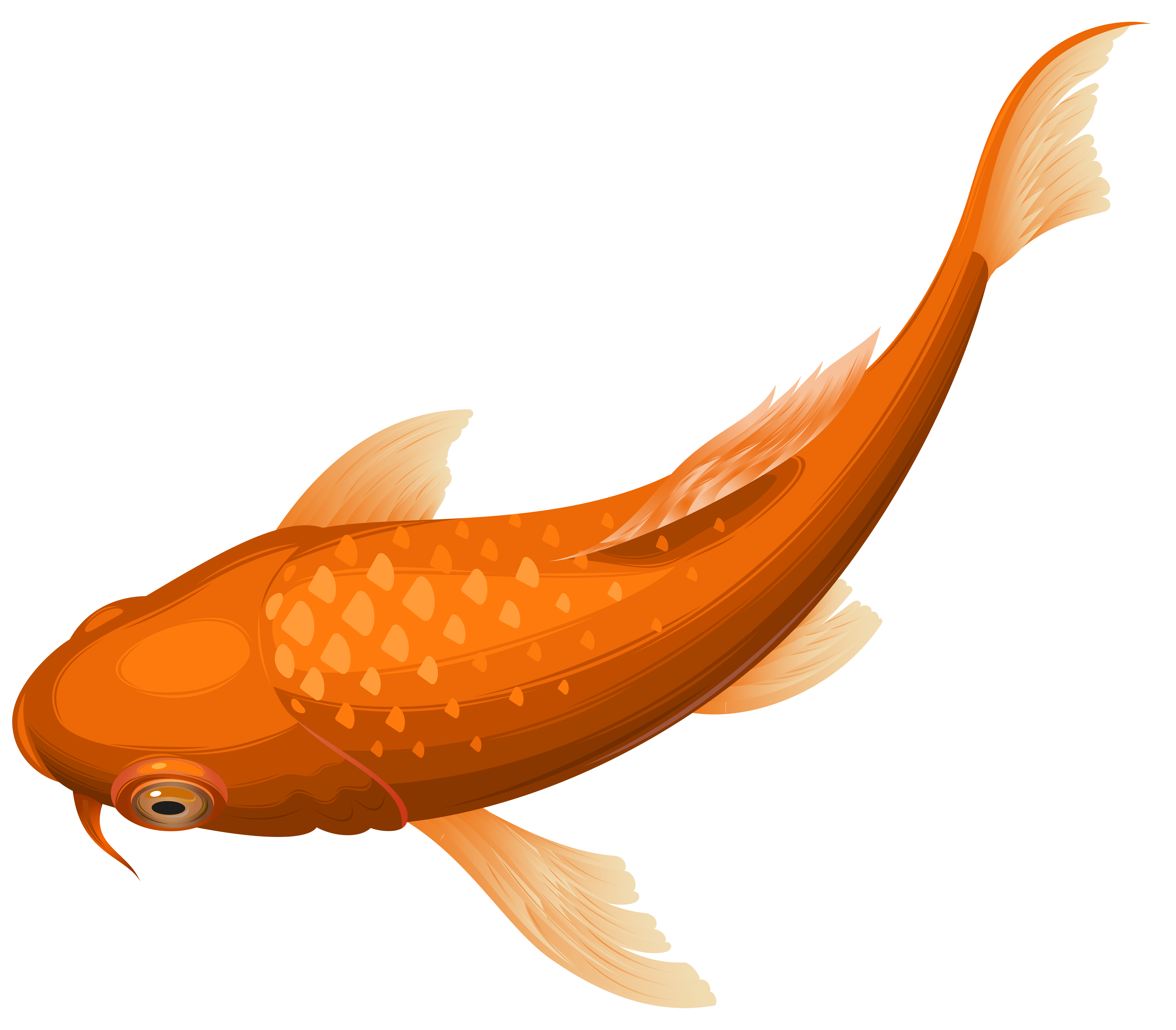 Orange Koi Fish Transparent Clip Art PNG Image
