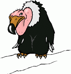 Vulture Clipart | Free Download Clip Art | Free Clip Art | on ...