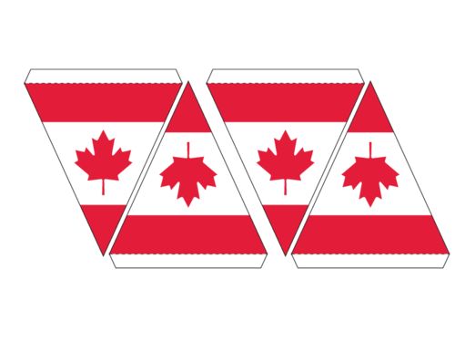 1000+ images about Canada Day & Celebration Flags ...