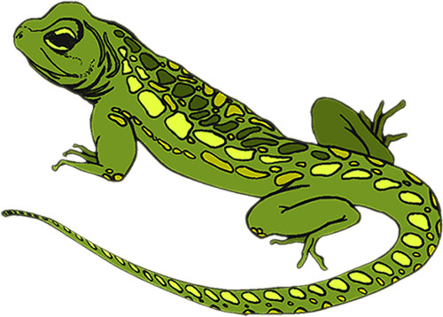 Lizard Clipart - Tumundografico