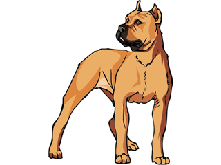 Boxer Dog Clipart | Free Download Clip Art | Free Clip Art | on ...