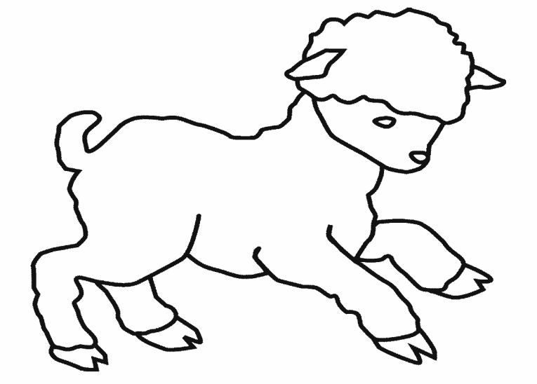 Lamb Drawing Outline Gallery Sheep Outline Coloring Page In ...