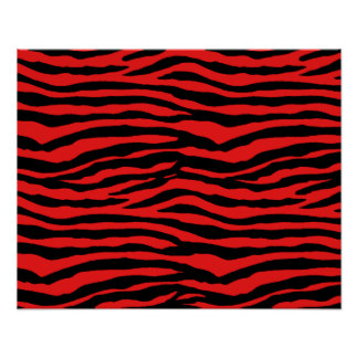 Zebra Stripes Posters | Zazzle