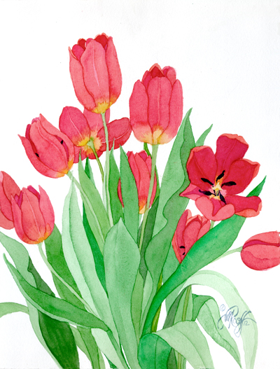 tulip bulbs | Fresh Off the Drawing Board