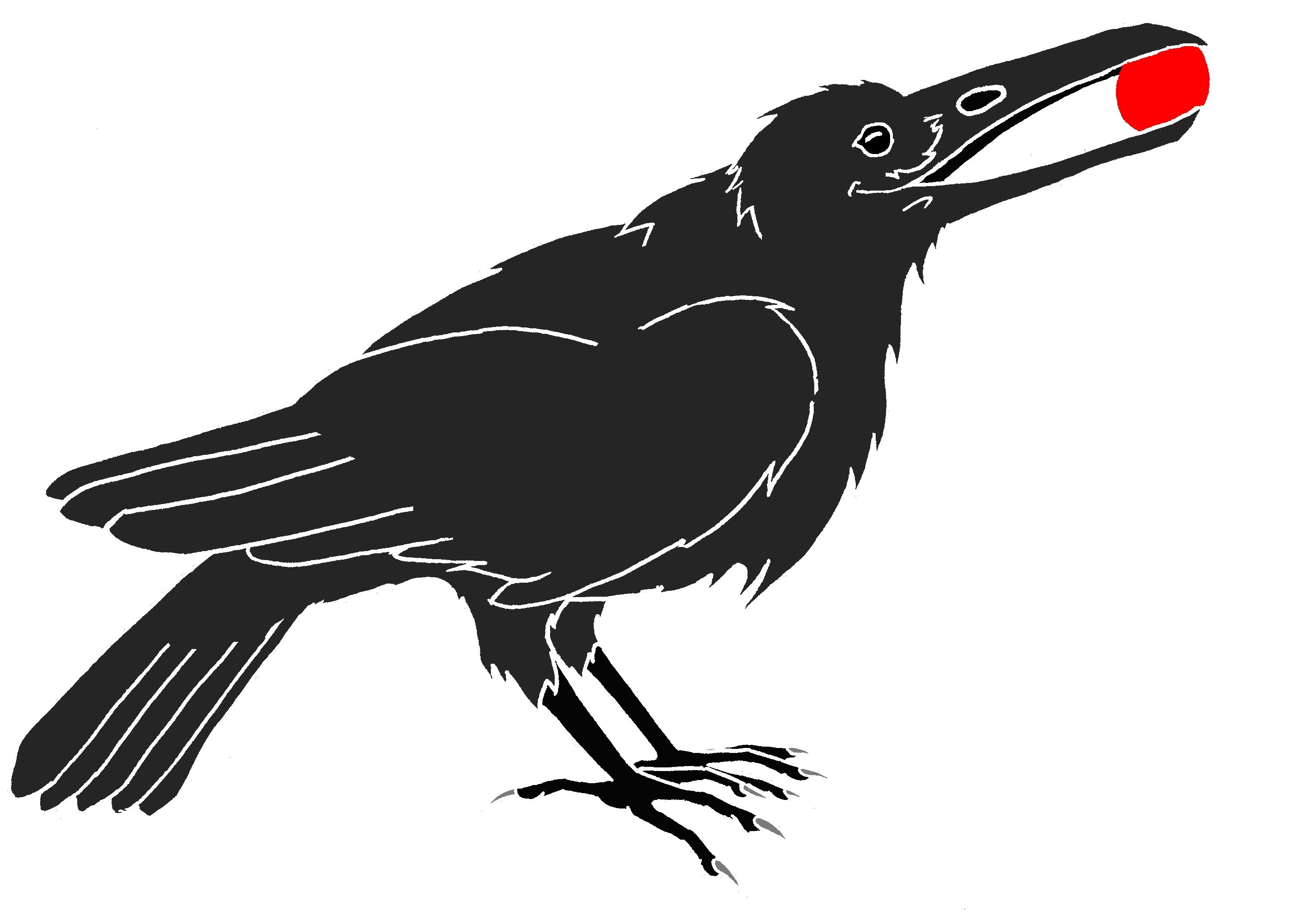 New Crow Sketch Drawing for Kindergarten