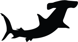 Hammerhead Shark Silhouette Clipart