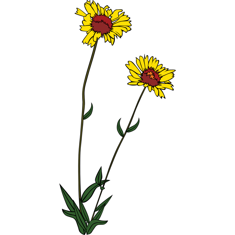 Wild Flower Clip Art