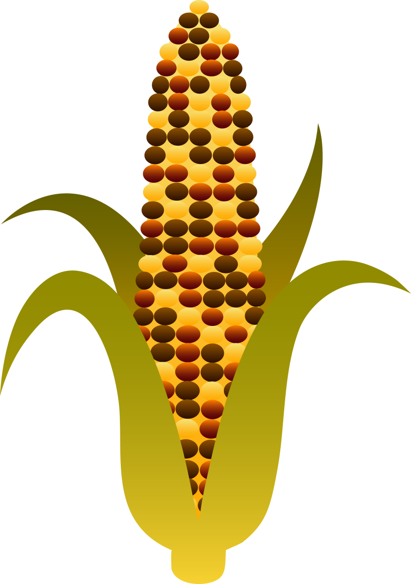 Best Corn Clip Art #21903 - Clipartion.com