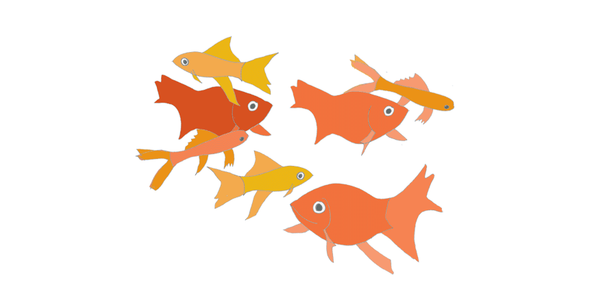 Fish Animated Gif - ClipArt Best Fish Animated Gif - ClipArt Best