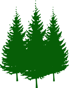 Free clip art pine trees