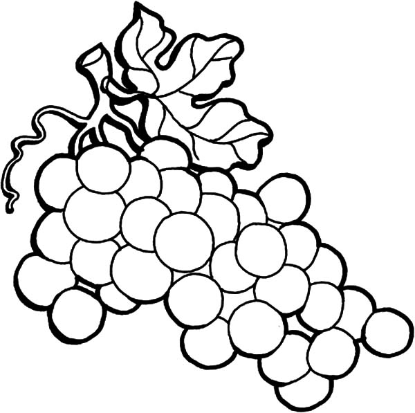 free clipart grapes black and white - photo #20