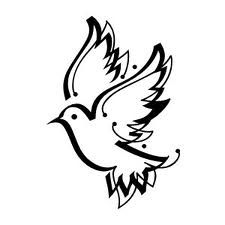 1000+ images about dove birds | Holy spirit, Bird ...