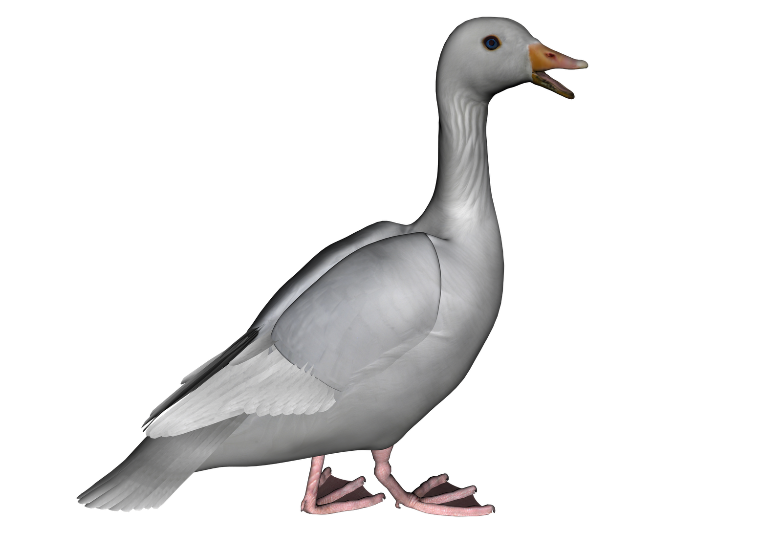 clipart of a goose - photo #31