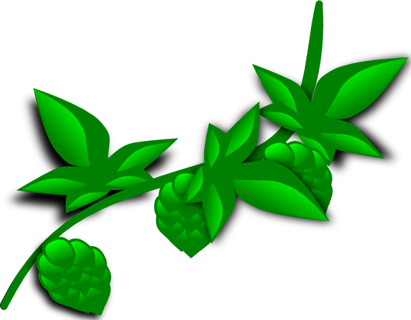 Hops Plant clip art Free Vector