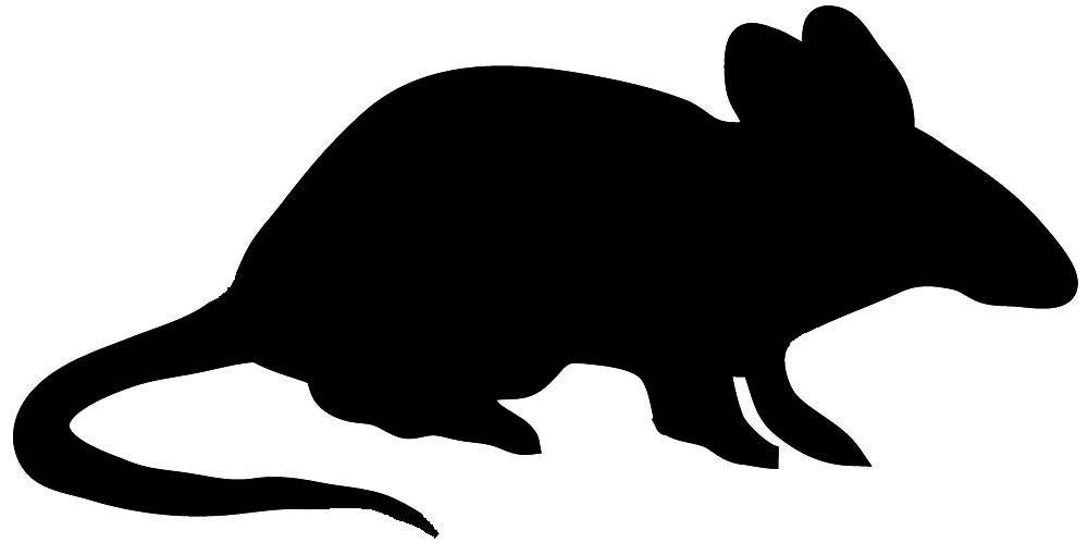 Wild Animal Graphics | Free Download Clip Art | Free Clip Art | on ...