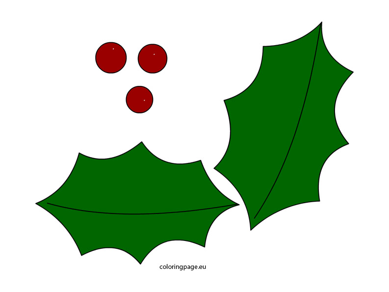 holly-leaf-clipart-best
