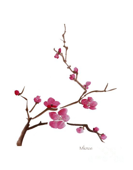 Cherry blossoms, Blossoms and Tattoo ideas