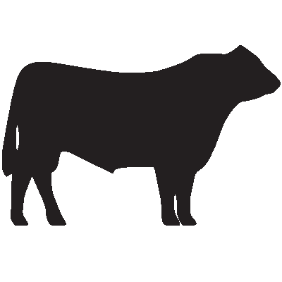 Beef Cow Outline Clipart