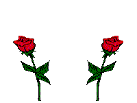 Roses Graphics and Animated Gifs. Roses