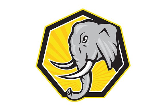 401 views Angry Elephant Head Side Cartoon ~ Illustrations on Creative Market