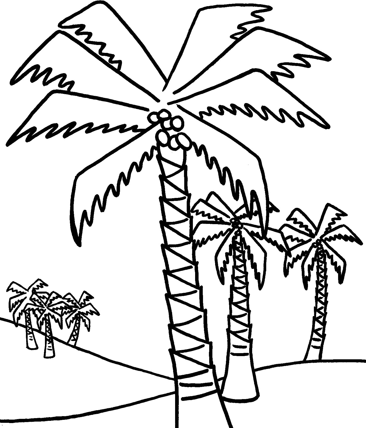 palm tree leaves coloring pages - photo #17