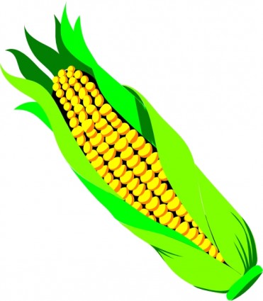 Corn clip art Vector clip art - Free vector for free download