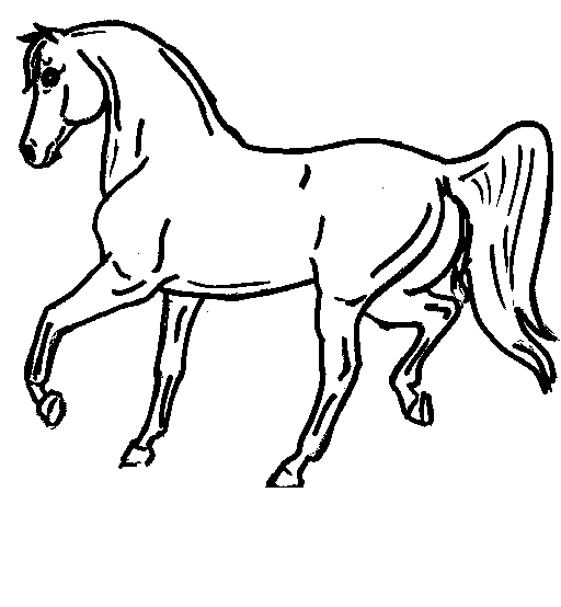 Printable Horse Coloring Pages And Pictures
