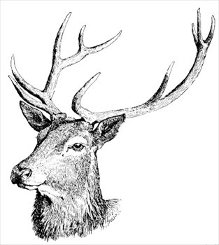 Free Deers Clipart - Free Clipart Graphics, Images and Photos ...