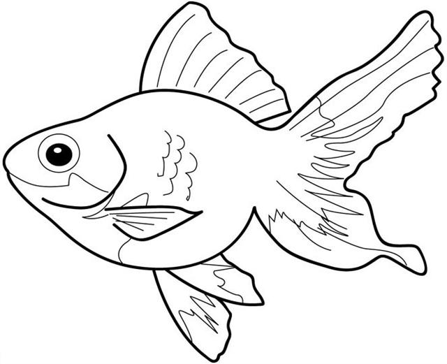 Fish Clipart Coloring Pages Sheets | Hagio Graphic