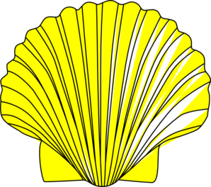 Sea Shell Clipart