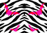Zebra Wallpapers and Pictures | 106 Items | Page 1 of 5