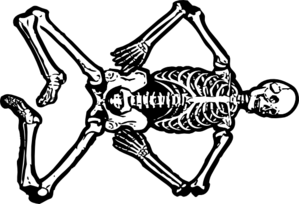 Skeleton clip art - vector clip art online, royalty free & public ...