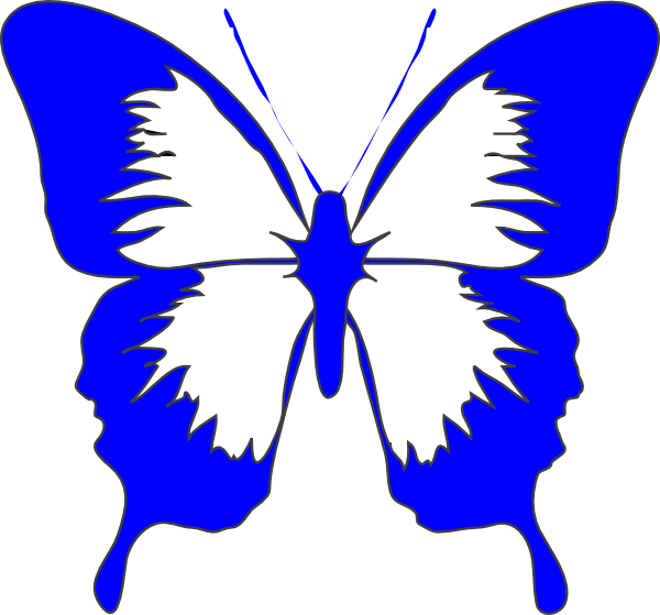 Animated Cartoon Butterfly - ClipArt Best