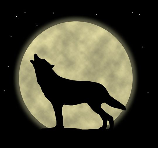 Cartoon Wolf Howling Moon - ClipArt Best