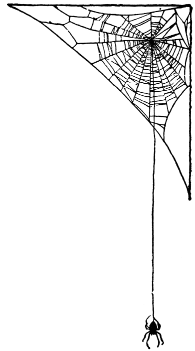 web spider clipart