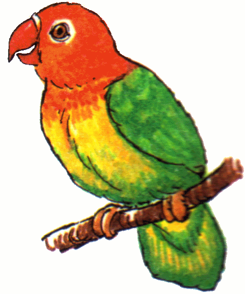 Cute Parrot Clipart - Free Clipart Images