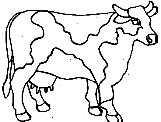 cow template Colouring Pages