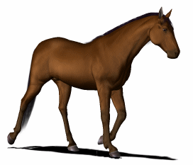 Featured image of post Horse Clipart Gif Horse collection of 10 free cliparts and images with a transparent background