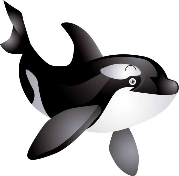 whale_PNG19238.png