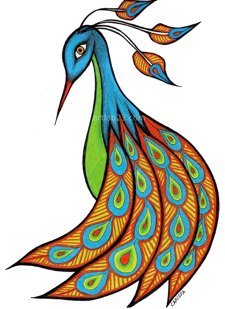 Peacock Drawing | Art, Peacock Art ...