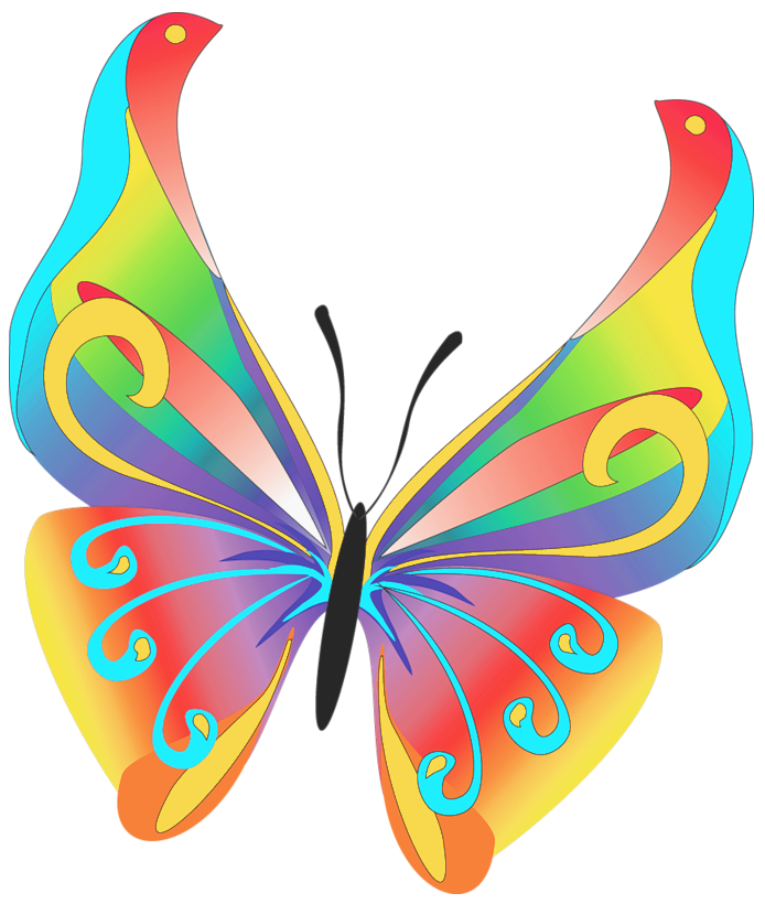 image clipart papillon gratuit - photo #20