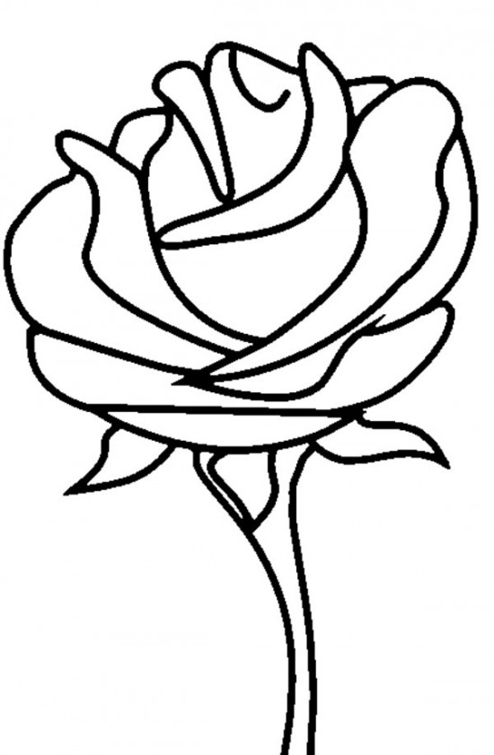 FLOWER coloring pages Rose American Beauty with Coloring Pages ...