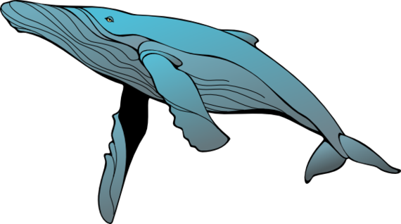 Templates For A Large Whale Clipart - Free to use Clip Art Resource