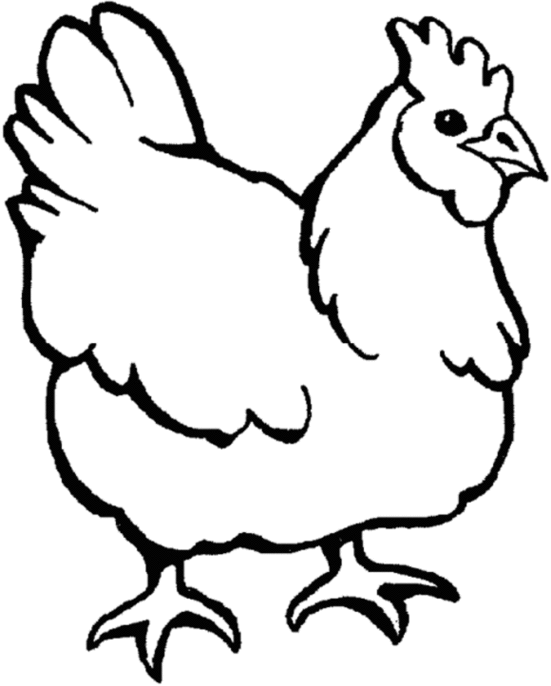 Picture Of Hen In Drawing Clipart - Free to use Clip Art Resource