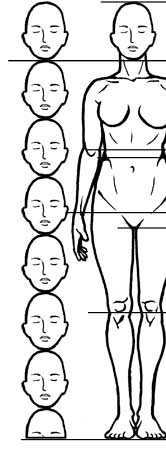 perfect female proportions
