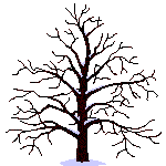 animated-tree-life-cycle.gif