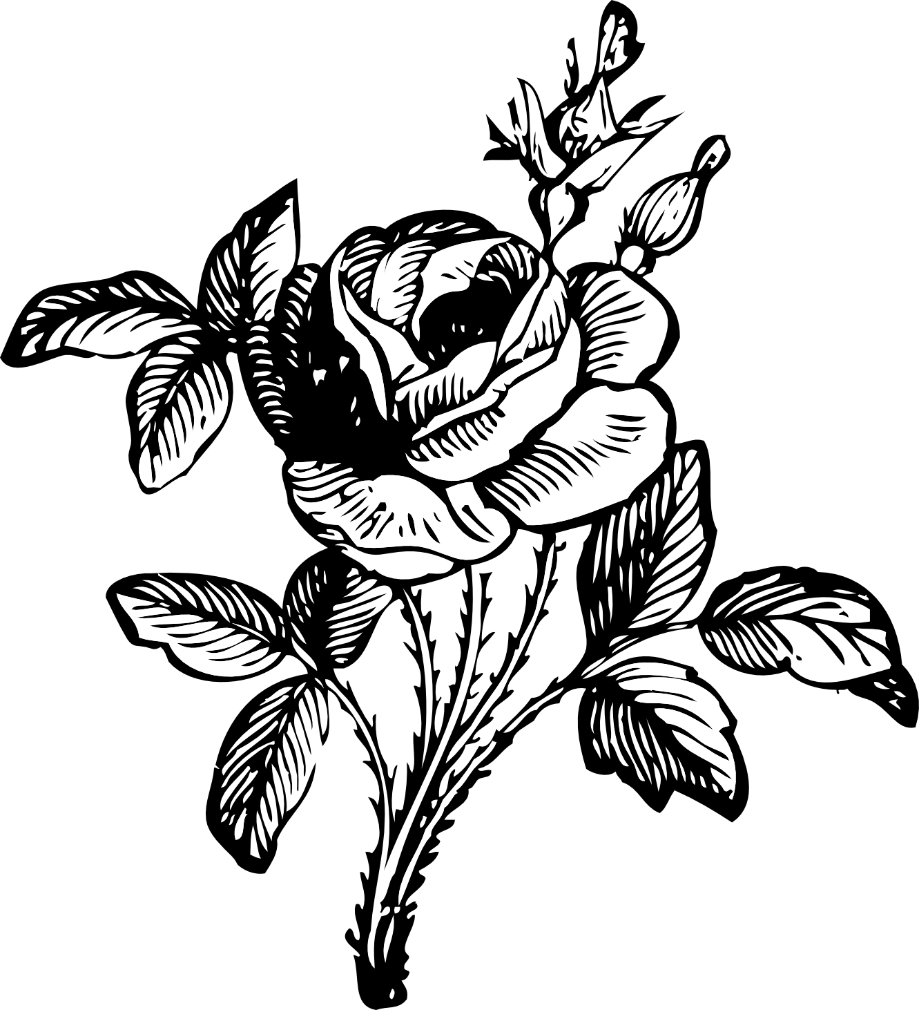 Rose 2 Black White Line Art Coloring Book Colouring Flowers 2011 ...