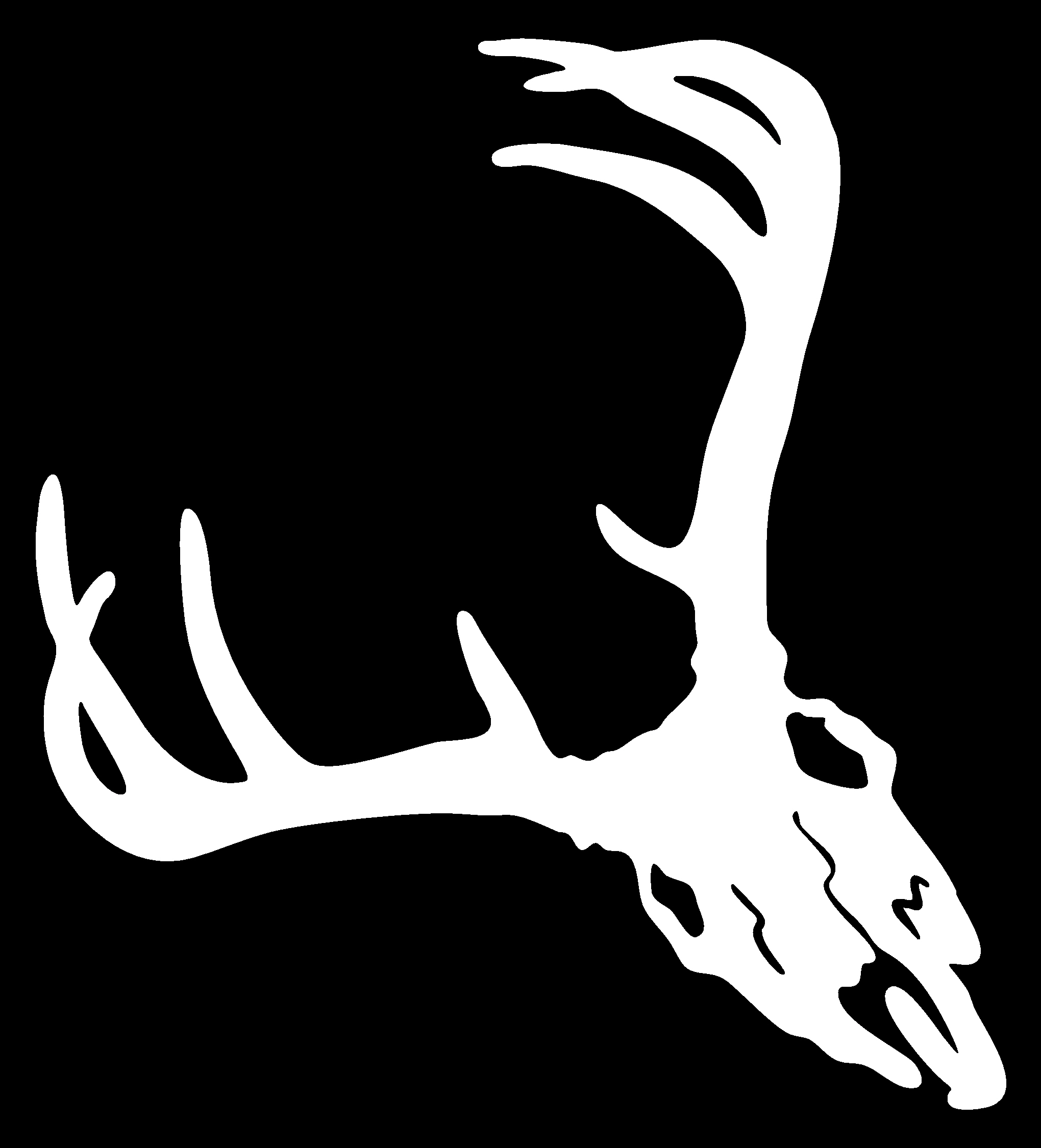 Deer Skull Pictures