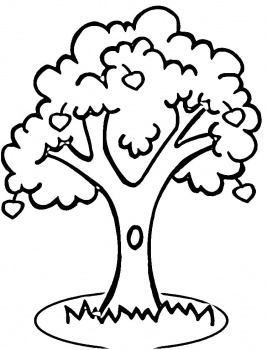Apple Tree coloring page | Super Coloring